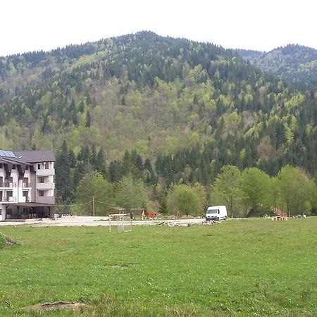 Pensiunea Poiana Soarelui Brates エクステリア 写真