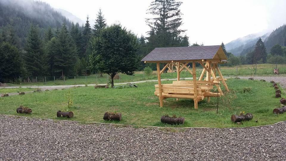 Pensiunea Poiana Soarelui Brates エクステリア 写真