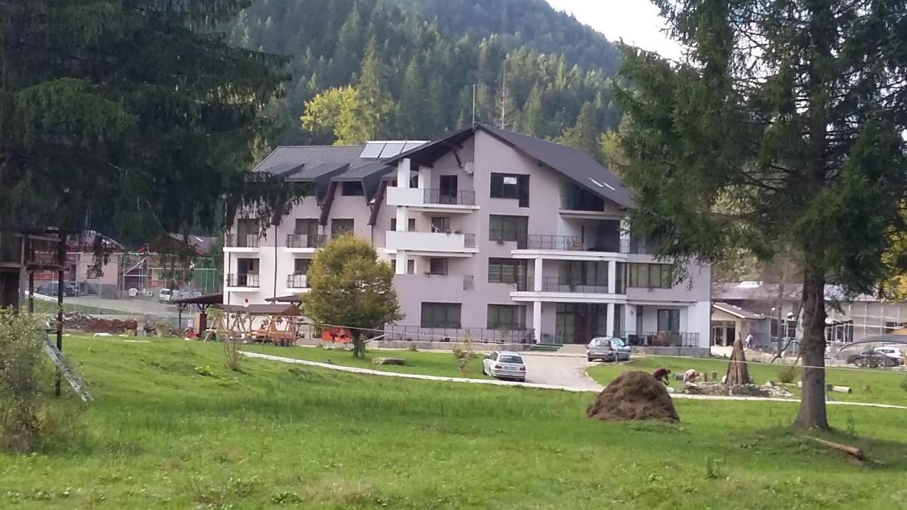 Pensiunea Poiana Soarelui Brates エクステリア 写真