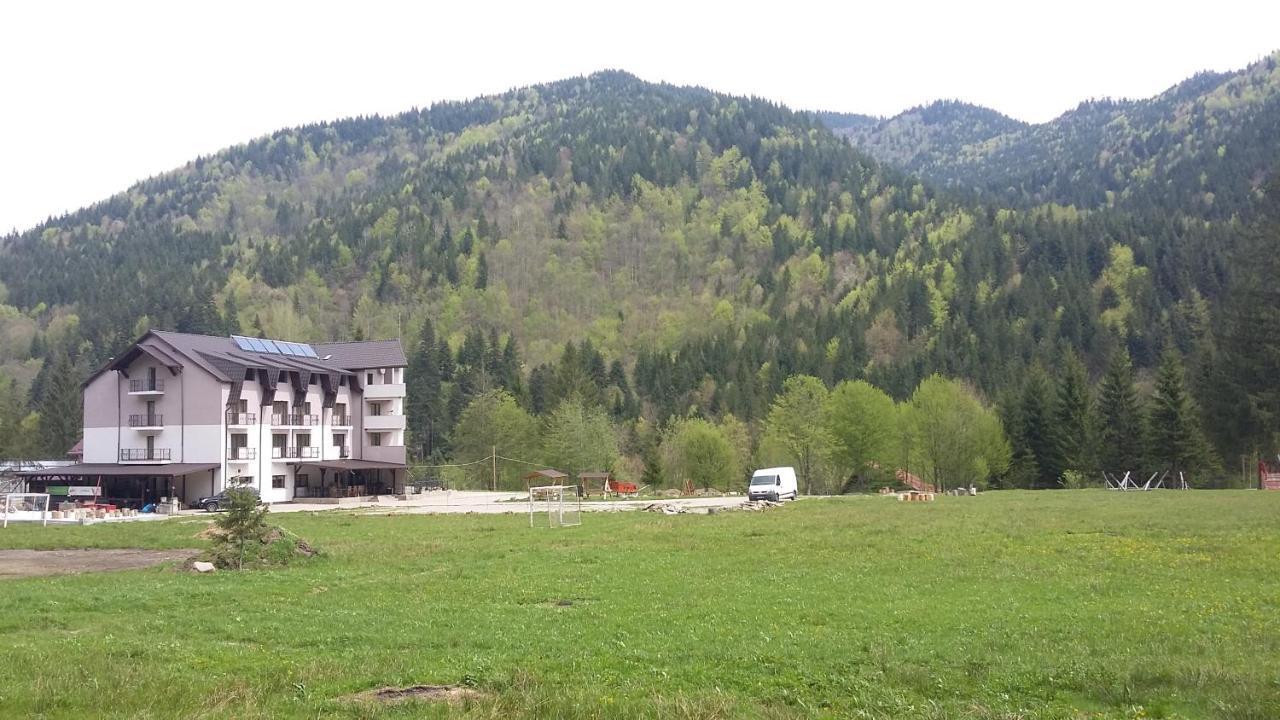 Pensiunea Poiana Soarelui Brates エクステリア 写真