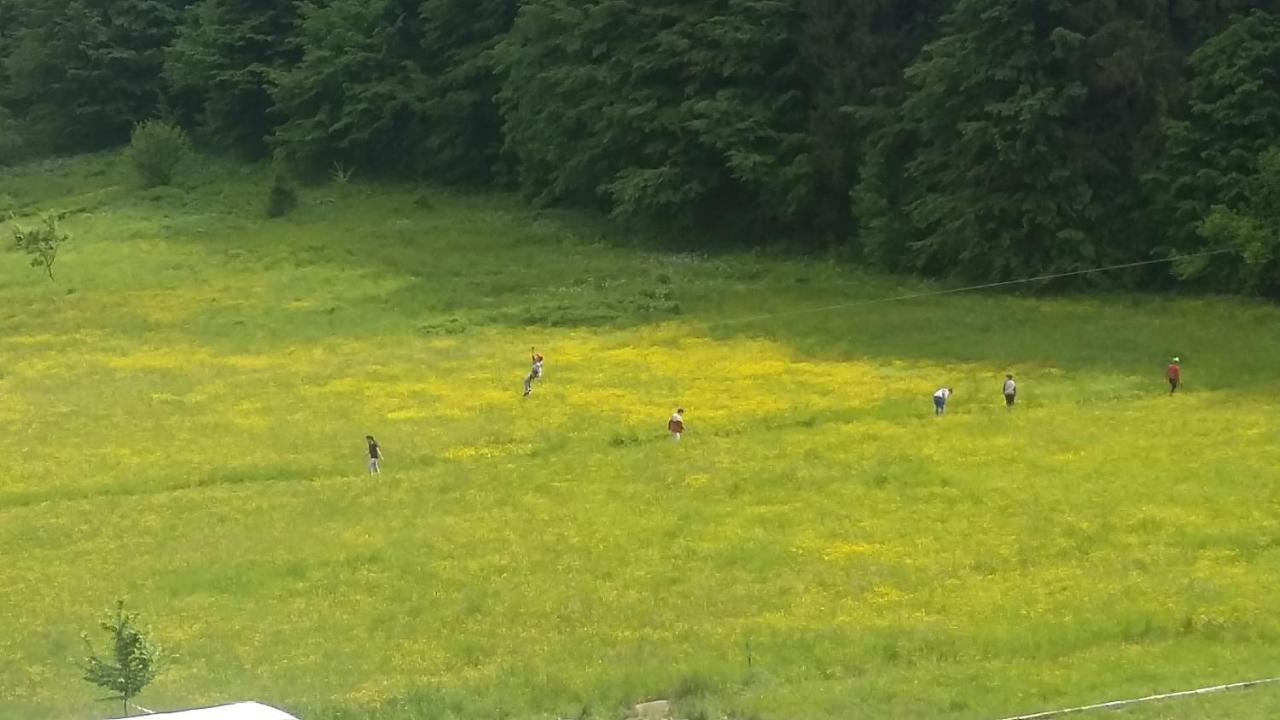Pensiunea Poiana Soarelui Brates エクステリア 写真